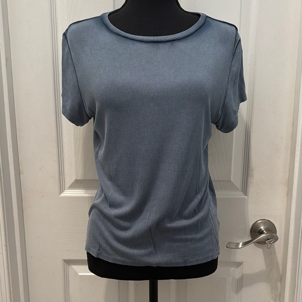 American Eagle Outfitters Blue Fitted Short Sleeve T-Shirt